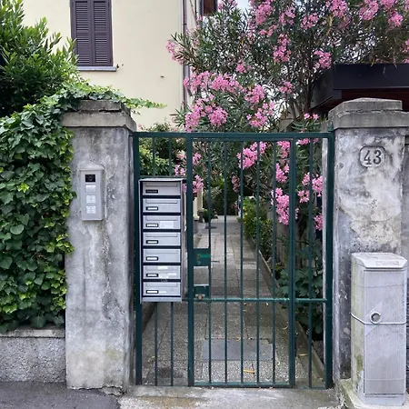 Rosa Charme Комо