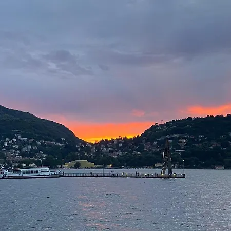 Rosa Charme * קומו