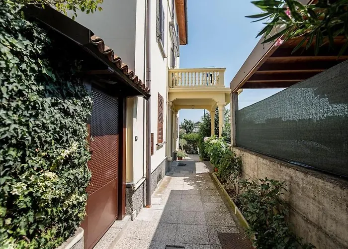 Rosa Charme * Комо