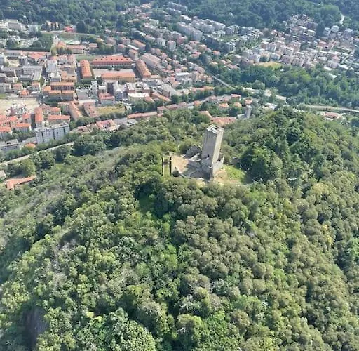 Rosa Charme Комо