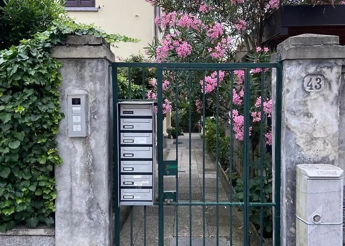 Rosa Charme Комо