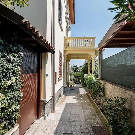 Rosa Charme * 코모