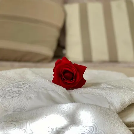 Rosa Charme