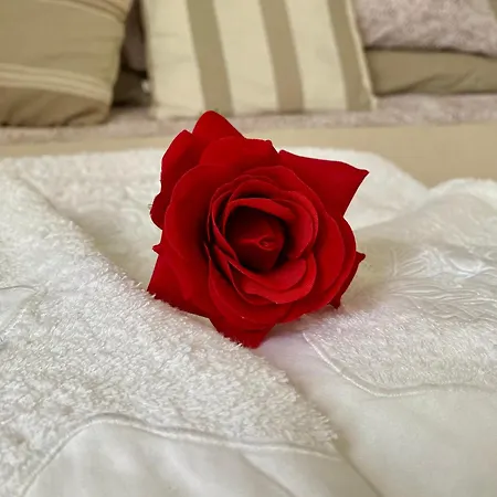Rosa Charme