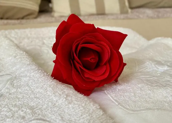 Rosa Charme